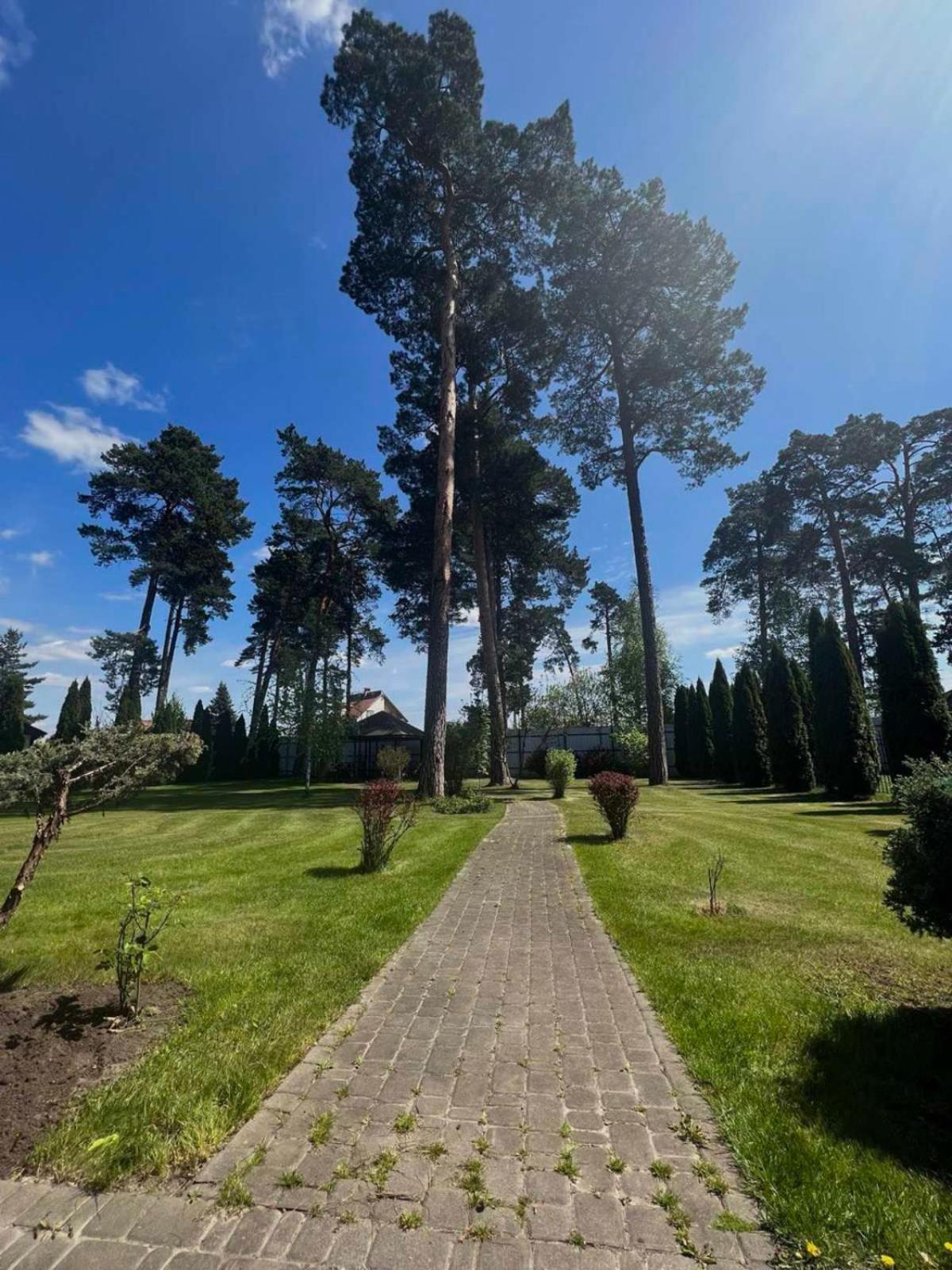 Hotel Borovik Novosilki Esterno foto
